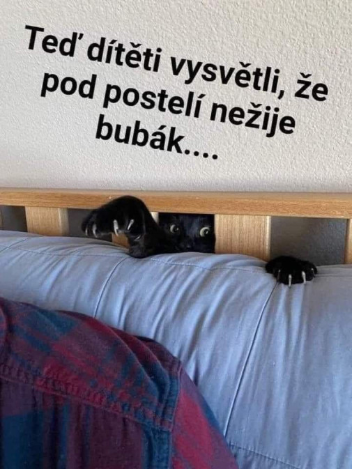 bubák