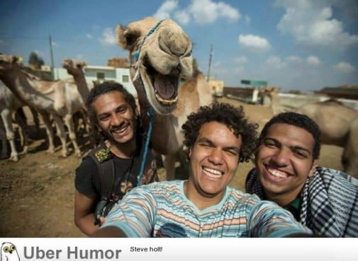 Camel selfie